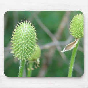 WILDBLUME 2 MOUSEPAD