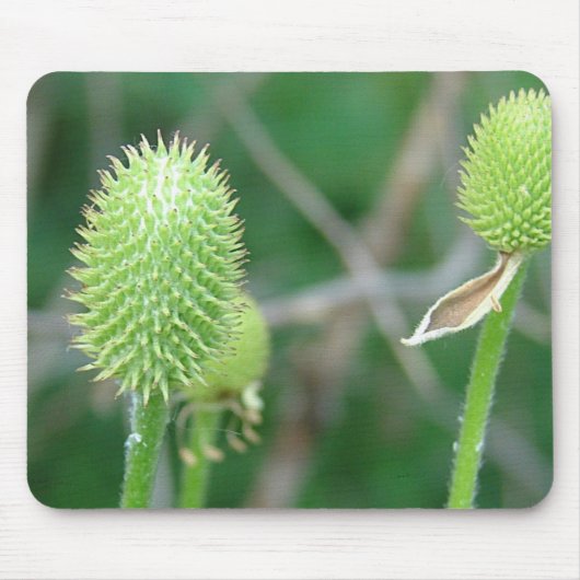 WILDBLUME 2 MOUSEPAD (Vorne)