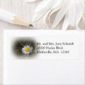 Wildblume 2 Rücksendeadresse (Insitu)