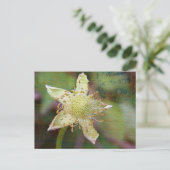 WILDBLUME 4 POSTKARTE (Stehend Vorderseite)