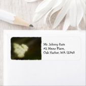 Wildblume 5 Rücksendeadresse (Insitu)