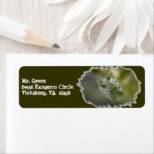 Wildblume 9 Rücksendeadresse (Insitu)