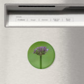 Wildblume Allium Magnet (In Situ (Geschirrspüler))