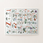 Wildblume Alphabet Puzzle | Nature Alphabet (Horizontal)