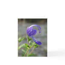 Wildblume-Anmerkungs-Karte