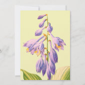 Wildblume Aquarell Blumengarten Kinderdusche Einladung (Rückseite)