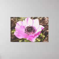 Wildblume Artistic Pastel Pink Anemone