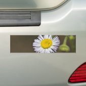Wildblume Autoaufkleber (Auf Auto)