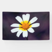 Wildblume Banner (Horizontal)