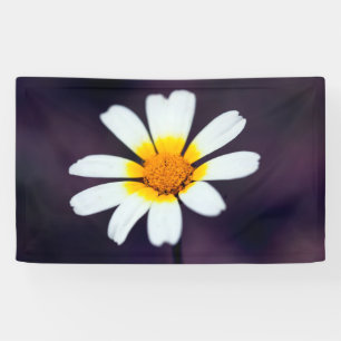 Wildblume Banner