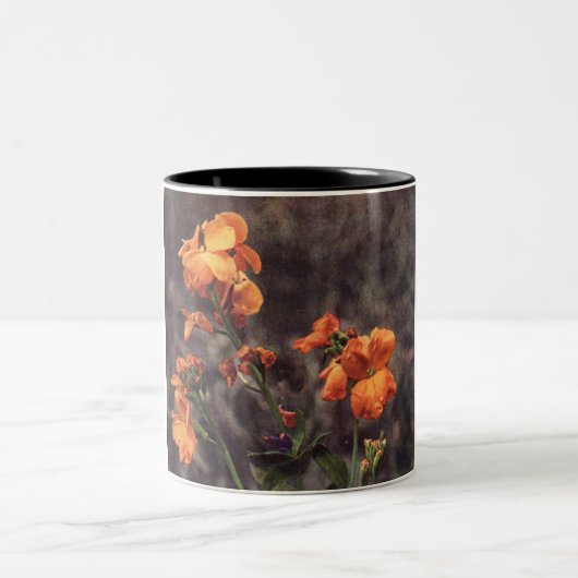 Wildblume: Blume Zweifarbige Tasse (Mittel)