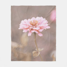 Wildblume Blush Pink Montana