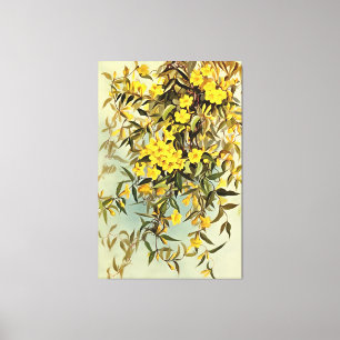 Wildblume Carolina Jasmine Kunst Leinwanddruck
