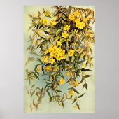 Wildblume Carolina Jasmine Kunst Poster (Vorne)