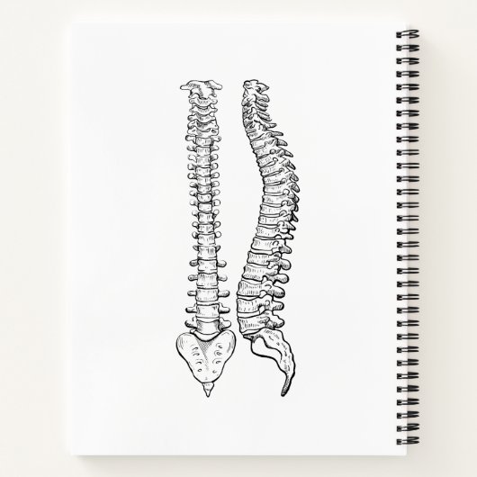 Wildblume Chiropraktik, Chiropraktor, Wirbelsäule, Notizblock (Rückseite)