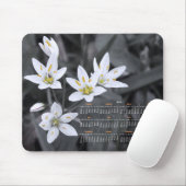 Wildblume Cluster Fotografie 2012 Kalender Mousepad (Mit Mouse)