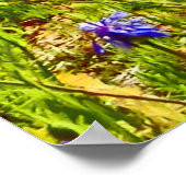 Wildblume Colorado Poster (Ecke)