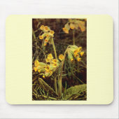 Wildblume: Cowslip Mousepad (Vorne)