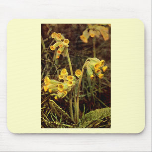 Wildblume: Cowslip Mousepad