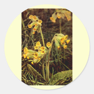 Wildblume: Cowslip Runder Aufkleber