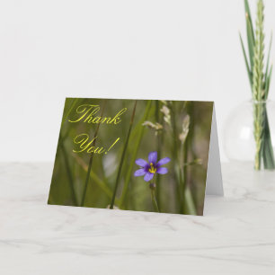 Wildblume danken Ihnen Karte 6