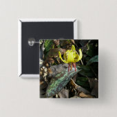 Wildblume der Forelle Lily - Erythronium americanu Button (Vorne & Hinten)