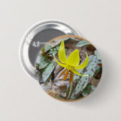 Wildblume der Forelle Lily - Erythronium americanu Button (Vorne & Hinten)