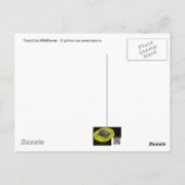 Wildblume der Forelle Lily - Erythronium americanu Postkarte (Rückseite)