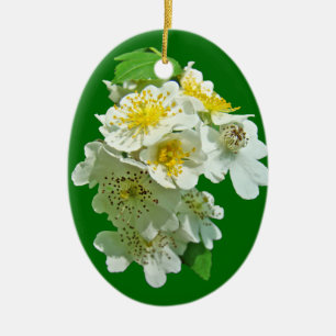 Wildblume der Rose Multiflora Keramik Ornament