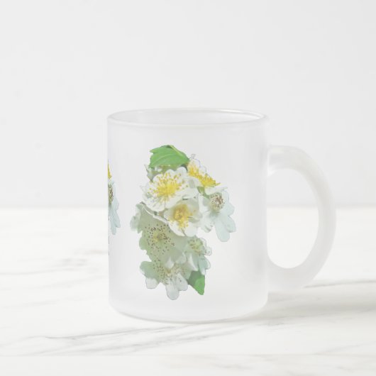 Wildblume der Rose Multiflora Mattglastasse (Rechts)