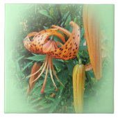 Wildblume der Turk Cap Lily - Links konfrontiert Fliese (Vorderseite)