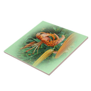 Wildblume der Turk Cap Lily - Links konfrontiert Fliese