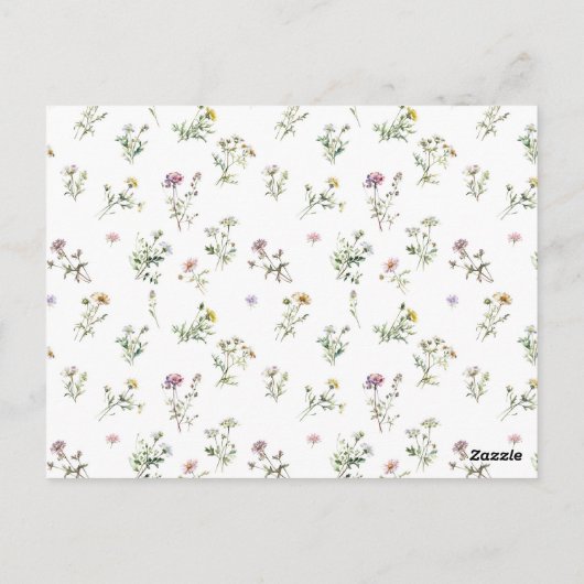 Wildblume der Wiese Postkarte (Rückseite)