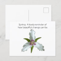 Wildblume des Trillium-Frühlings Postkarte