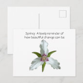 Wildblume des Trillium-Frühlings Postkarte (Vorne/Hinten)