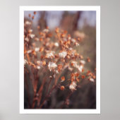 Wildblume des warmen Niedergangs im Neatral Poster (Vorne)