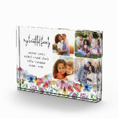 Wildblume Familienname und 4 Foto (Rechts)