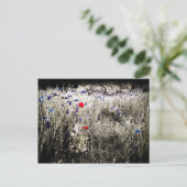 Wildblume Farbisolierung Postkarte (Stehend Vorderseite)