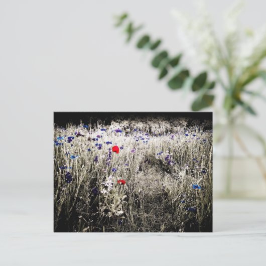 Wildblume Farbisolierung Postkarte (Stehend Vorderseite)