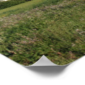 ‚Wildblume Farm‘ Poster (Ecke)