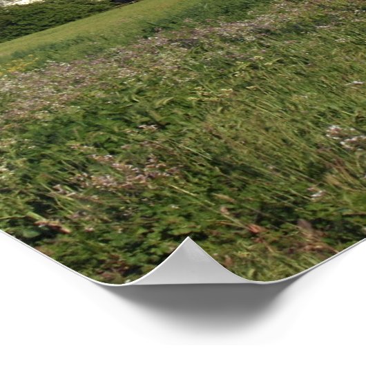 ‚Wildblume Farm‘ Poster (Ecke)