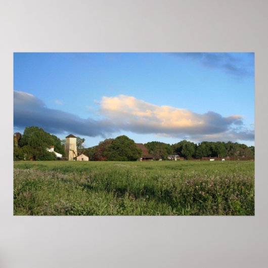 ‚Wildblume Farm‘ Poster (Vorne)