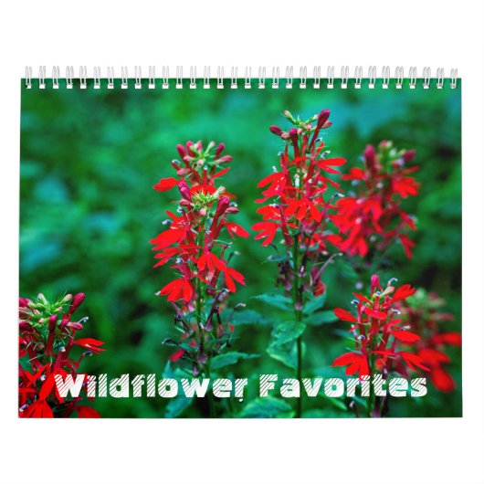 Wildblume Favoriten #1 Kalender (Titelbild)