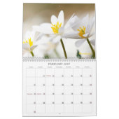 Wildblume Favoriten #1 Kalender (Feb 2027)