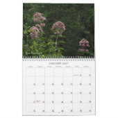 Wildblume Favoriten #1 Kalender (Jan 2027)