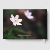 Wildblume - Feier des Lebens-Gästebuches Gästebuch (Rückseite)