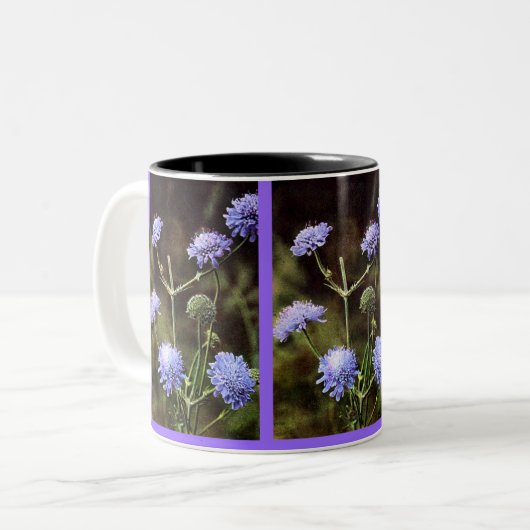 Wildblume: Feldwissenschaft Zweifarbige Tasse (Vorderseite Links)