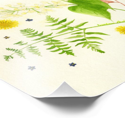 Wildblume Fotodruck (Ecke)