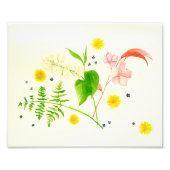 Wildblume Fotodruck (Vorne)