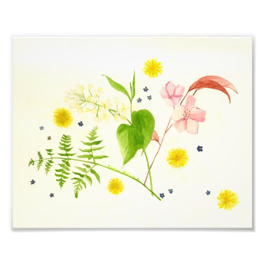 Wildblume Fotodruck (Vorne)
